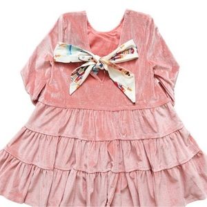 Pink chicken Velvet Nutcracker Dress